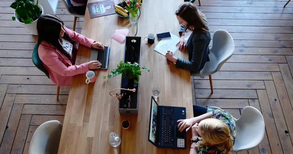 Team working on laptops in a modern office